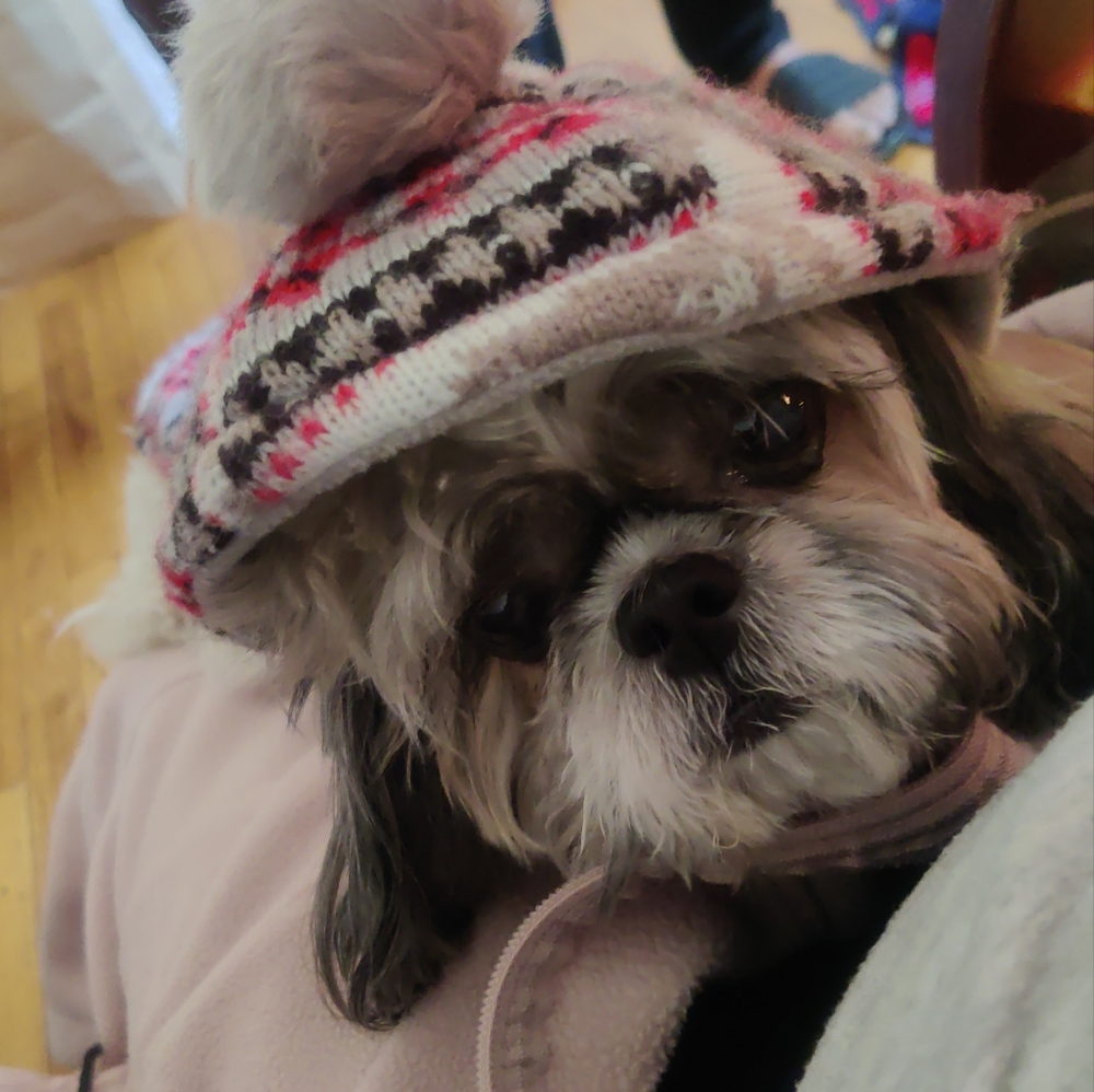 Meet your Posher, Kathy